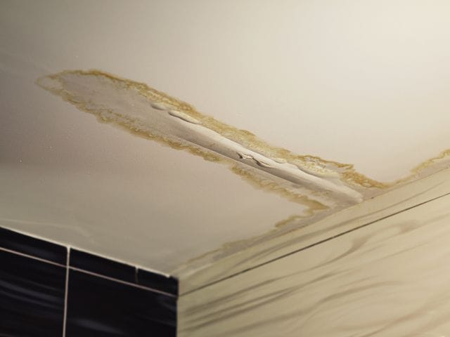 ceiling repair
